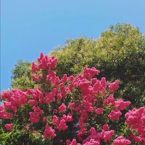 Meet your Posher, Yasmine